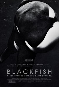 Blackfish Comes Into Light