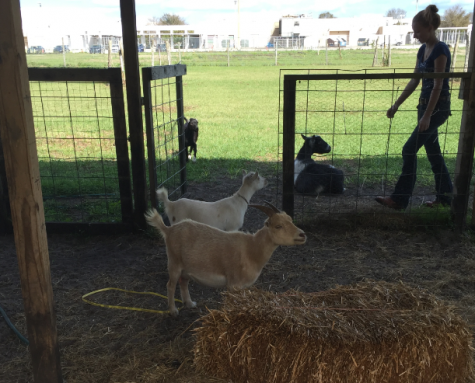 Creatures of Ag