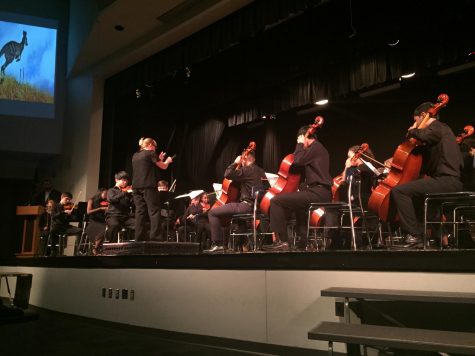 Outstanding Orchestra