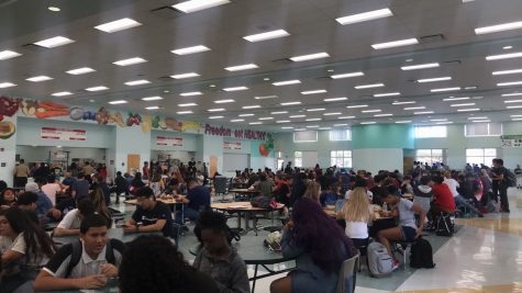 School lunch favorites