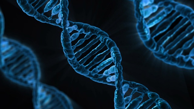 DNA Storage Revolutionized 