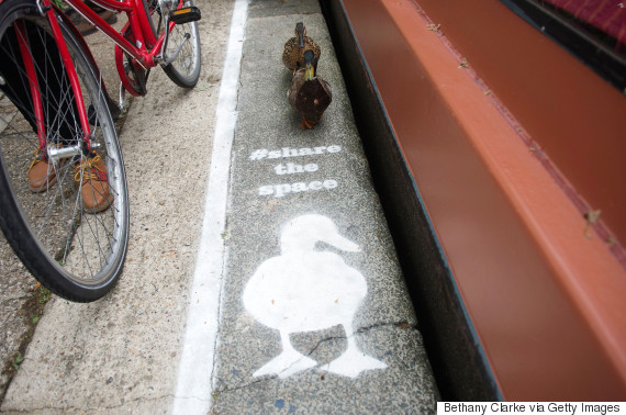 LONDON, ENGLAND - MAY 15:  Temporary duck lanes have been painted on busy towpaths in London, Birmingham and Manchester to highlight the narrowness of the space that is shared by a range of people  and wildlife on May 15, 2015 in London, England. The Canal & River Trusts new campaign, Share the Space, Drop your Pace, is encouraging everyone who uses the towpaths to be considerate of others by sharing the space and dropping your pace to keep the towpaths a special place for everyone.  (Photo by Bethany Clarke/Getty Images for Canal & River Trust)