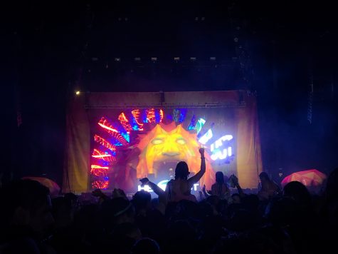 Life in Color