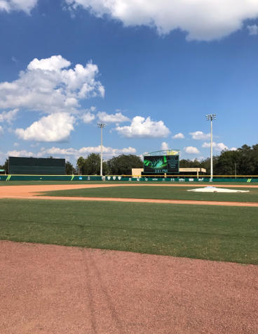 USF Fall Baseball Tournament