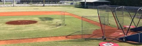 Spring Baseball Tryouts