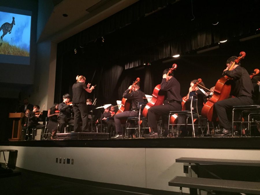 Outstanding Orchestra  