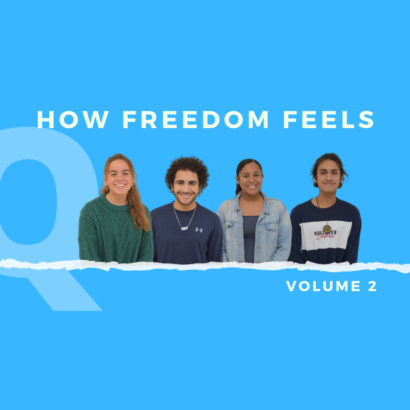 Freedom Feels: Volume 2
