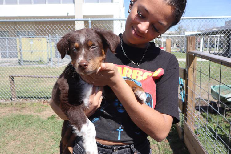 Student holding puppy during Doggy Daycare