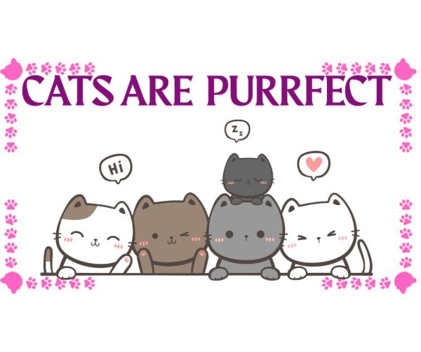 The Perfect Pet